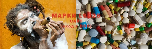 гидропоника Вязьма