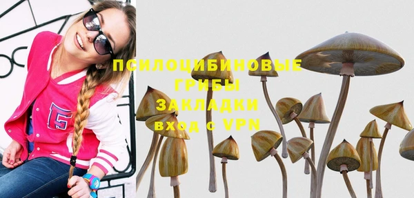 прущие крисы Вязники